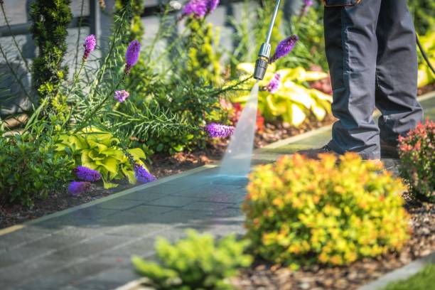 Best Parking Lot and Garage Cleaning  in Del Rio, TX